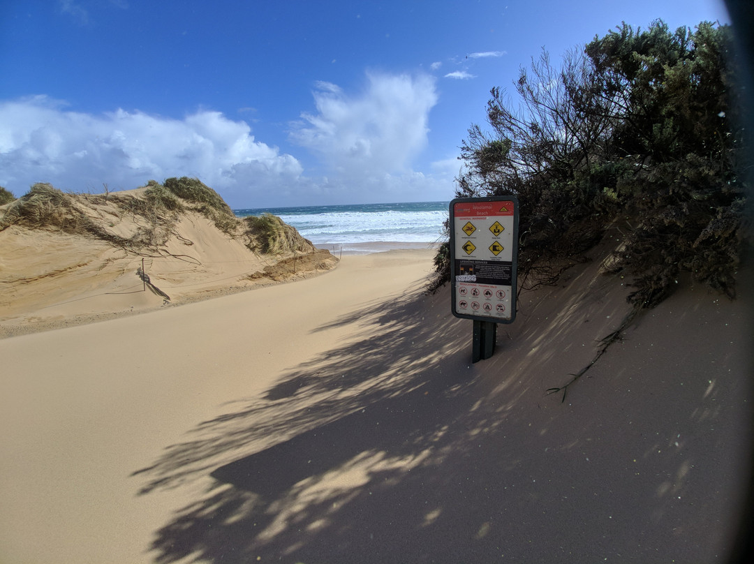 Woolamai Beach-Cape Woolamai必去景点