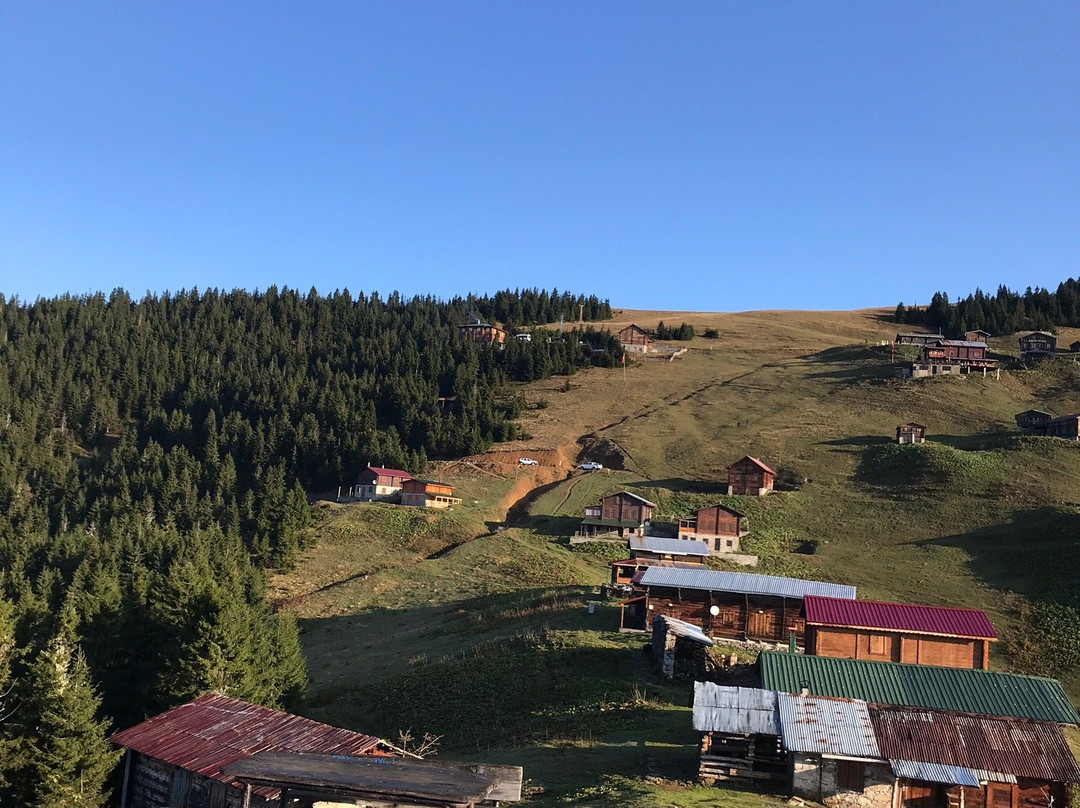 Pokut Orion主图