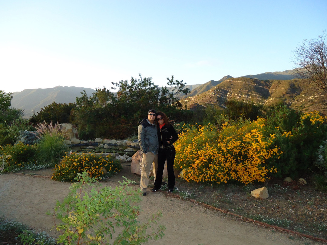 Emerald Iguana Inn主图