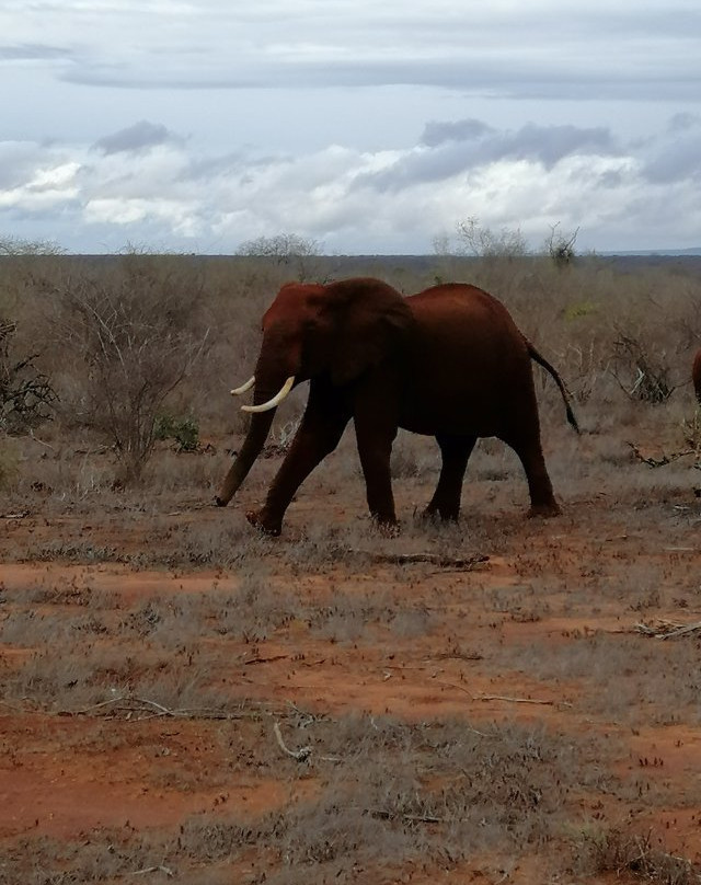 THOMAS SAFARI KENYA-瓦塔木必去景点