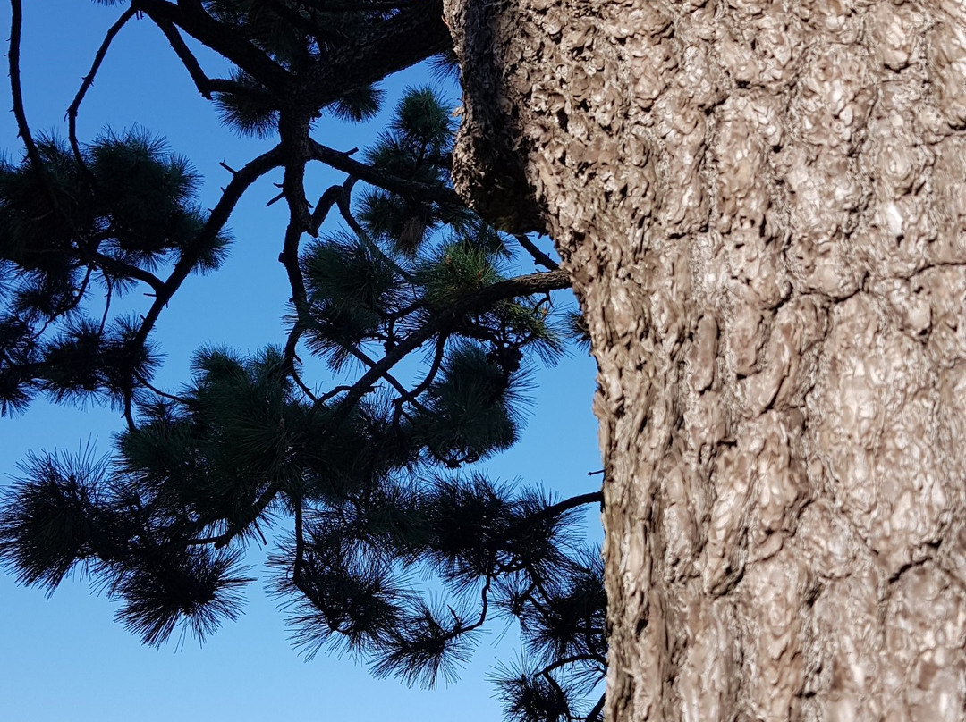 Changwon Marine Park-昌原市必去景点