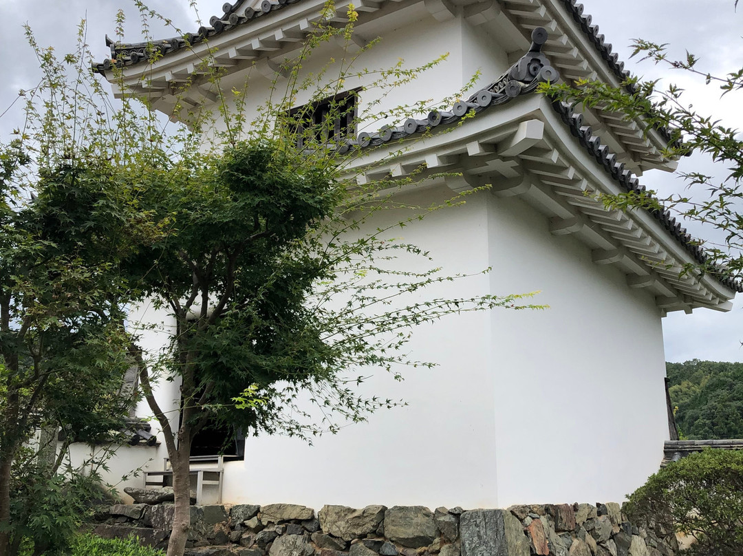 Odonosama Park (Ozujosannomaru Minami Sumiyagura Park)-大洲市必去景点