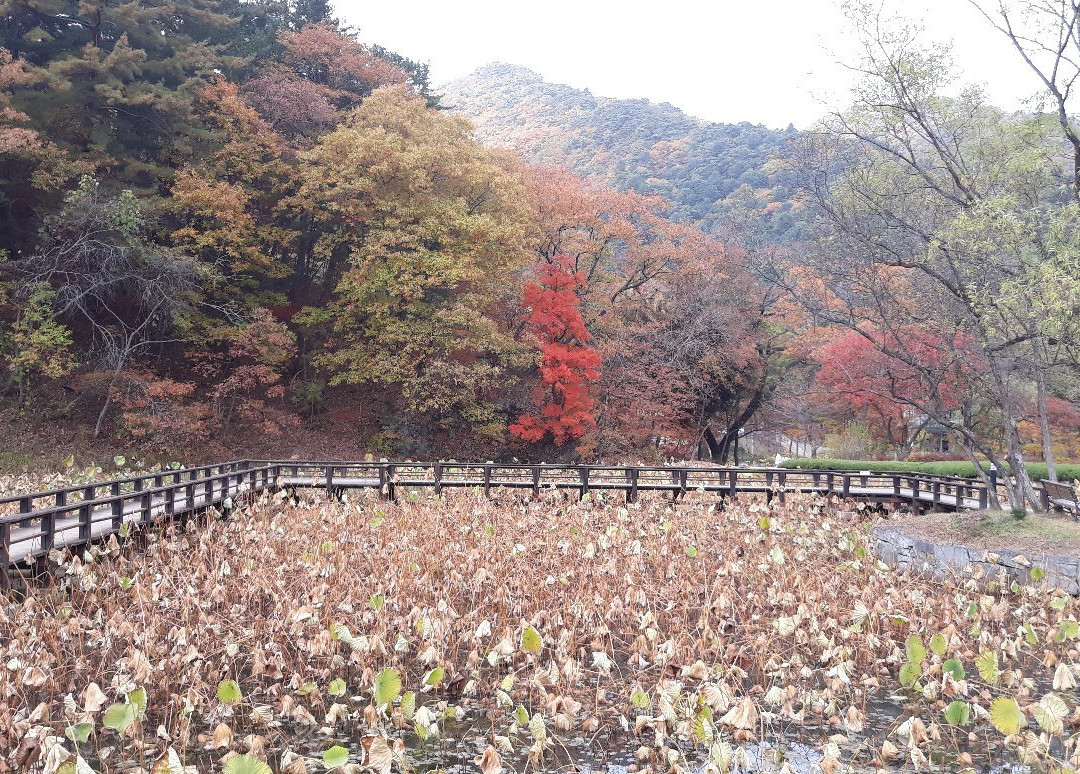 Sutasa Temple-洪川郡必去景点