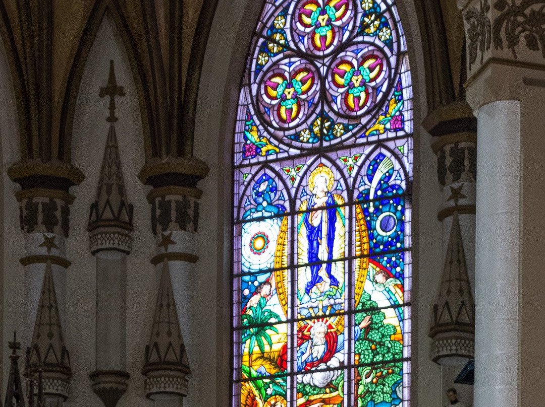 Igreja Matriz Sao Sebastiao Martir景点图片