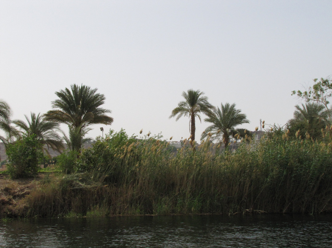 Sehel Island-亚斯文必去景点