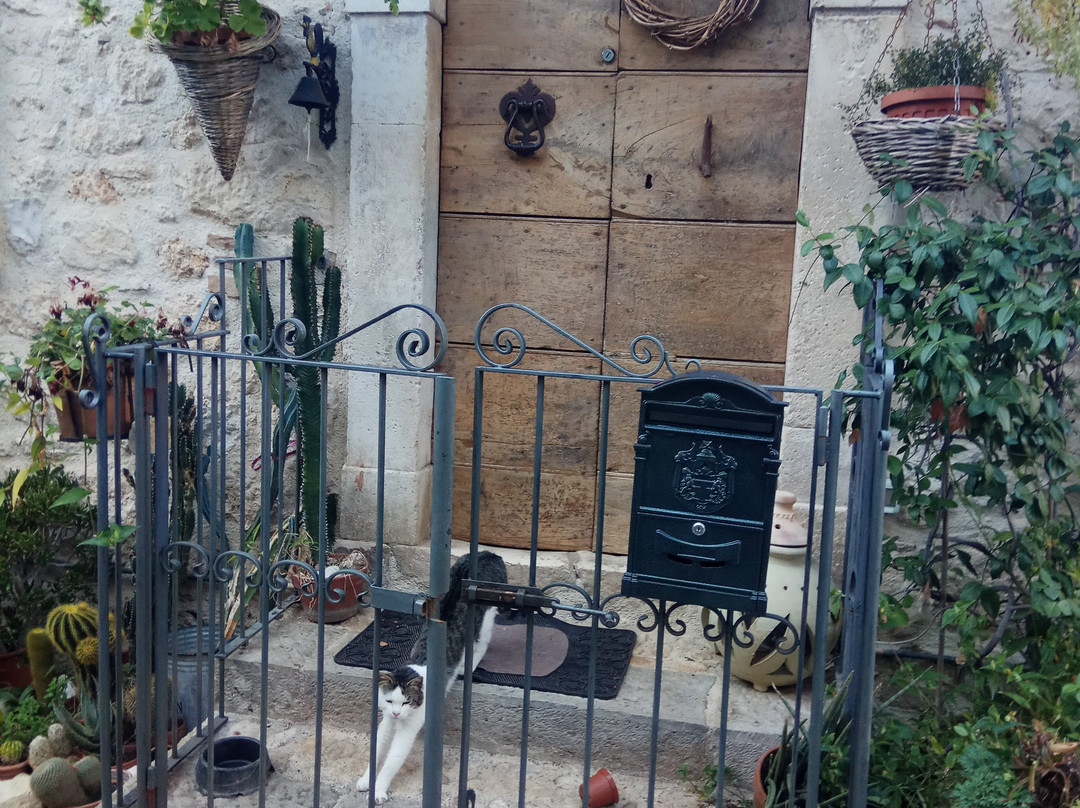 Borgo Medievale di Pettorano sul Gizio-Pettorano sul Gizio必去景点