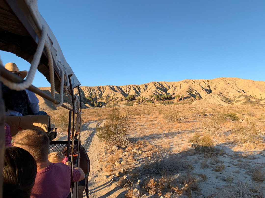 Covered Wagon Tours-棕榈泉市必去景点