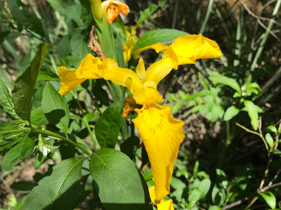 Delta Terra-蒂格雷必去景点