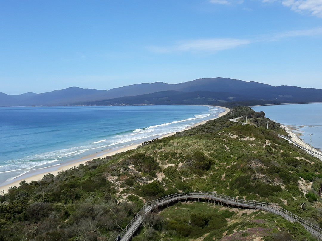 Daytripperz Tours Tasmania景点图片