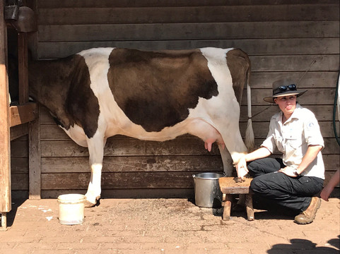 墨尔本中文小团精致游-墨尔本必去景点