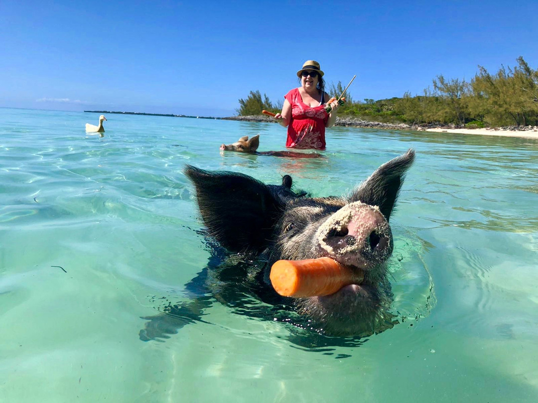 Tyman Fishing Charters-Spanish Wells必去景点