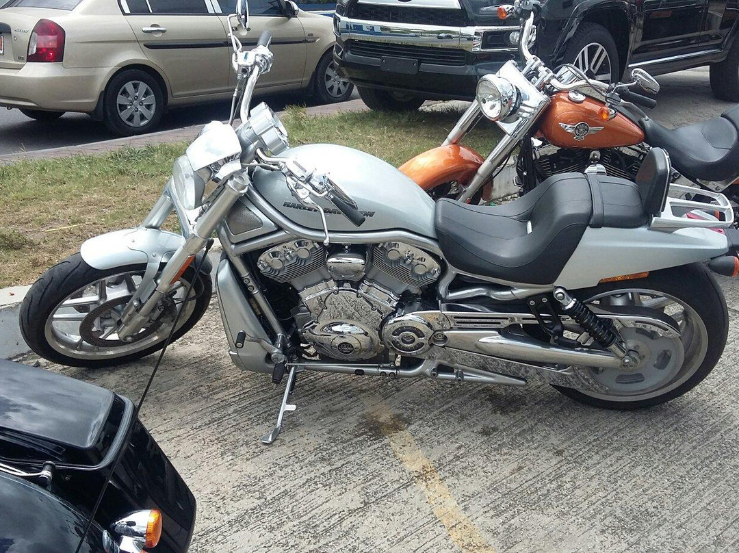 Harley-Davidson St Maarten景点图片