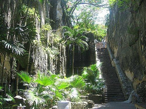 Discover Nassau Tour