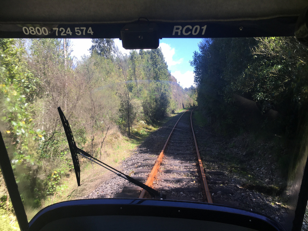 Rotorua Rail Cruising景点图片