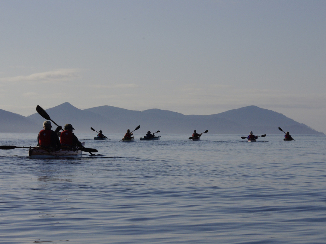 Kingfisher Wilderness Adventures-Port McNeill必去景点