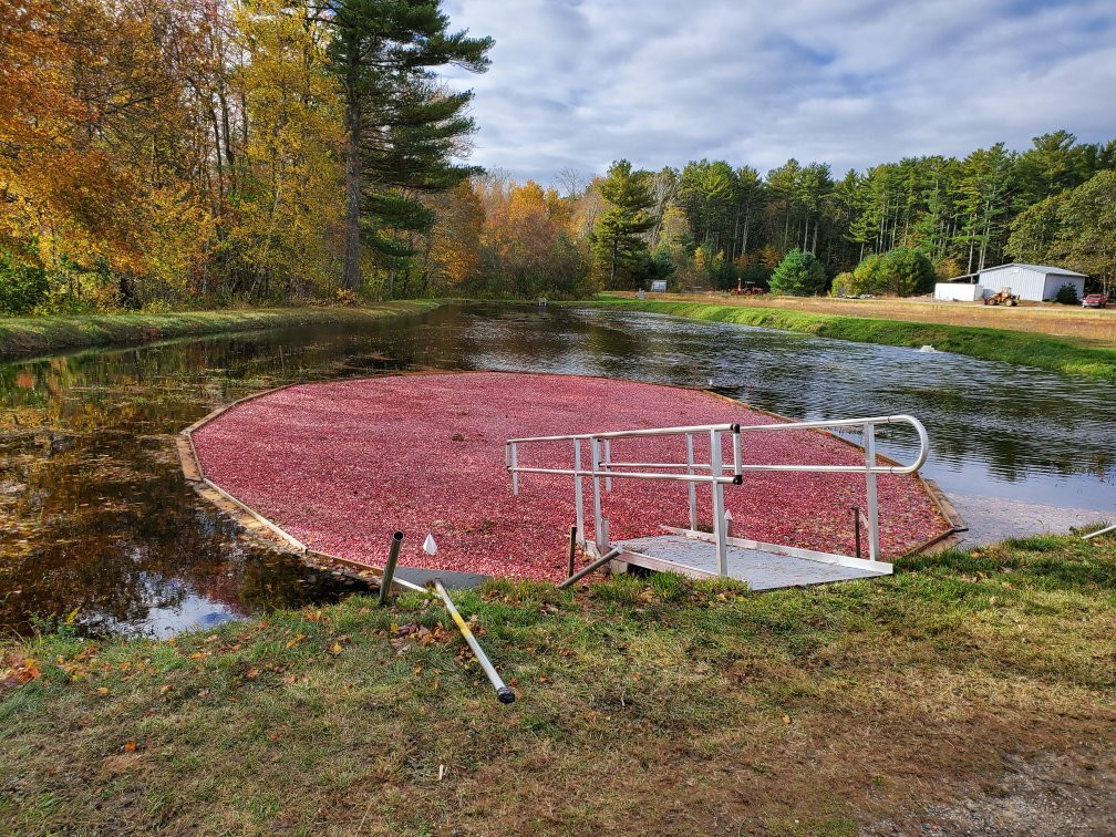 Stone Bridge Farm-Acushnet必去景点