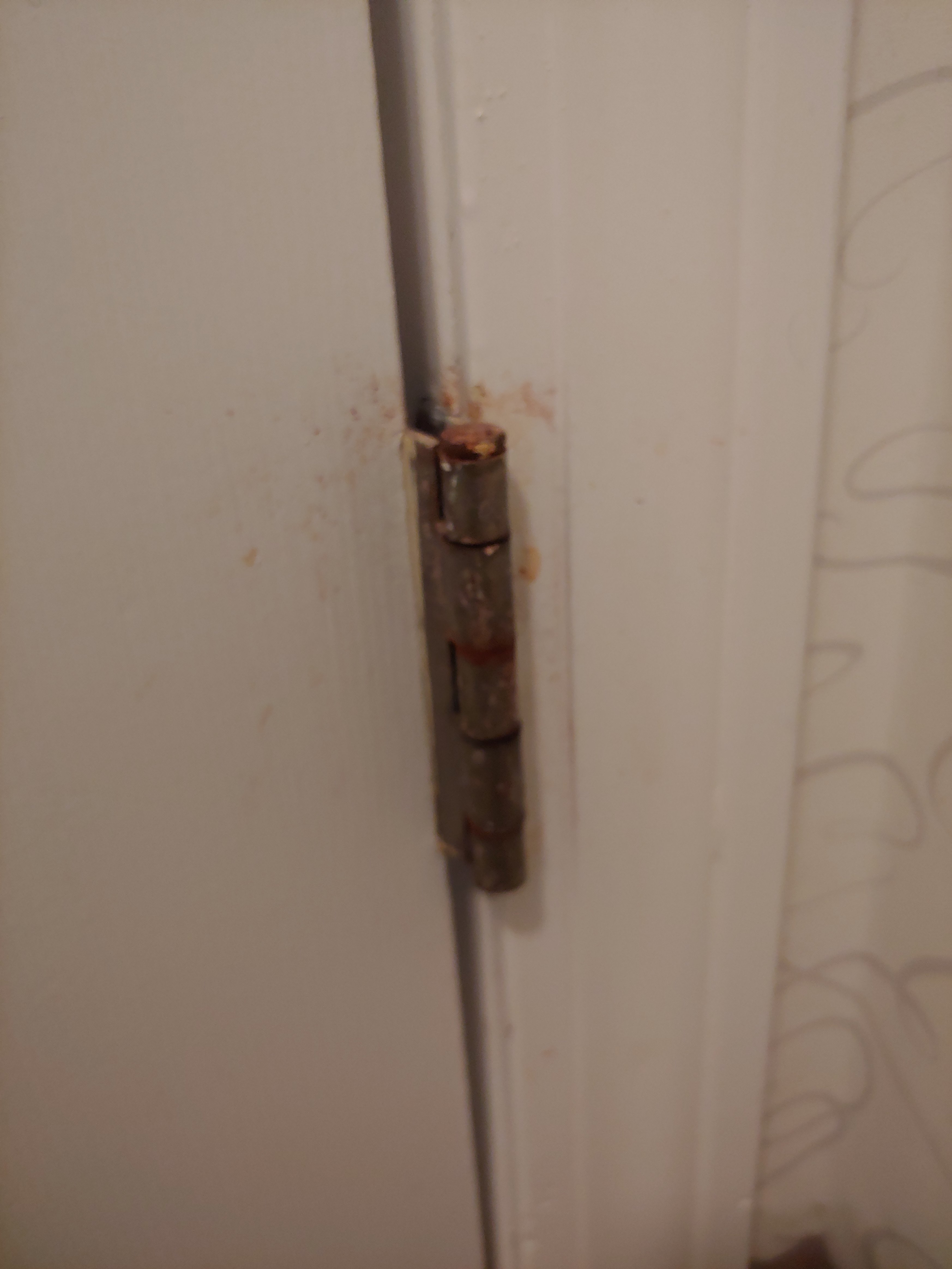 Residence Inn by Marriott Boston Foxborough-浴室