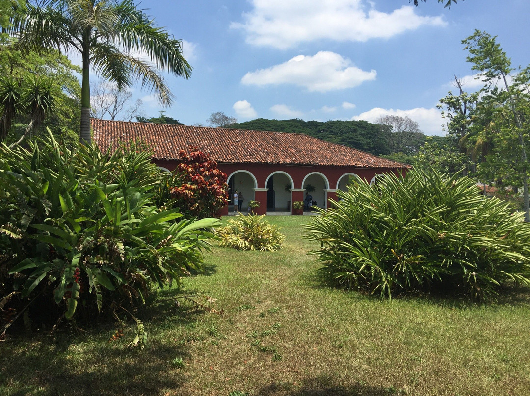 Hacienda Cacaotera La Luz景点图片