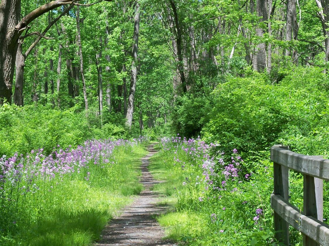 Catharine Valley Trail景点图片