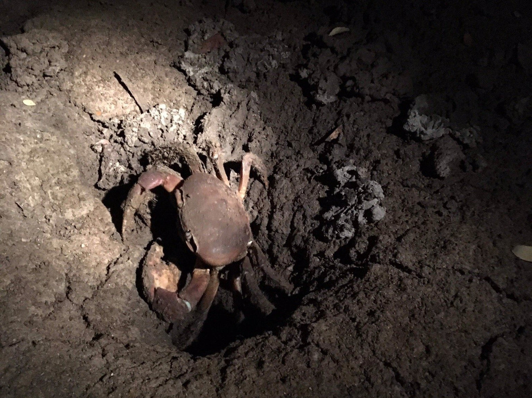 Le Jardin Maore-Kanikeli必去景点