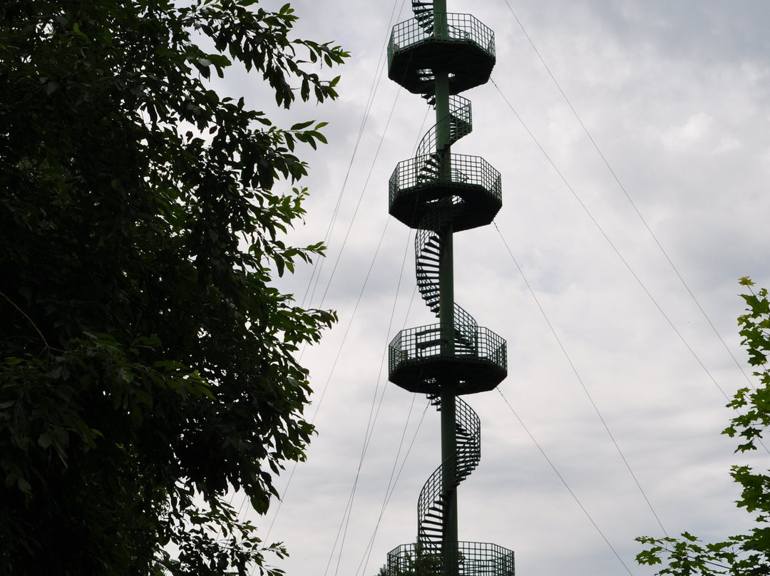 Sartai Lake Tower景点图片