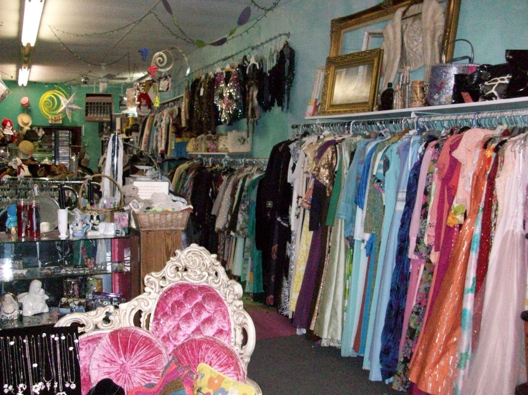 Vintage Variety Shop & Gallery景点图片