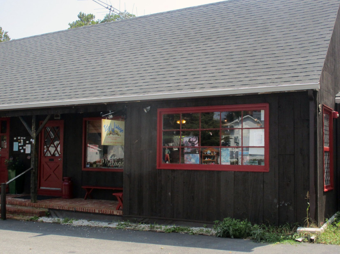 Mount Freedom旅游景点-It'z Vintage