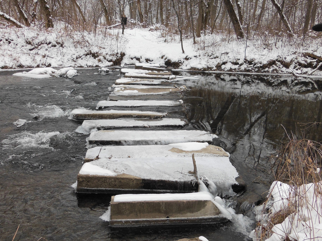 Eyota旅游景点-Carley State Park