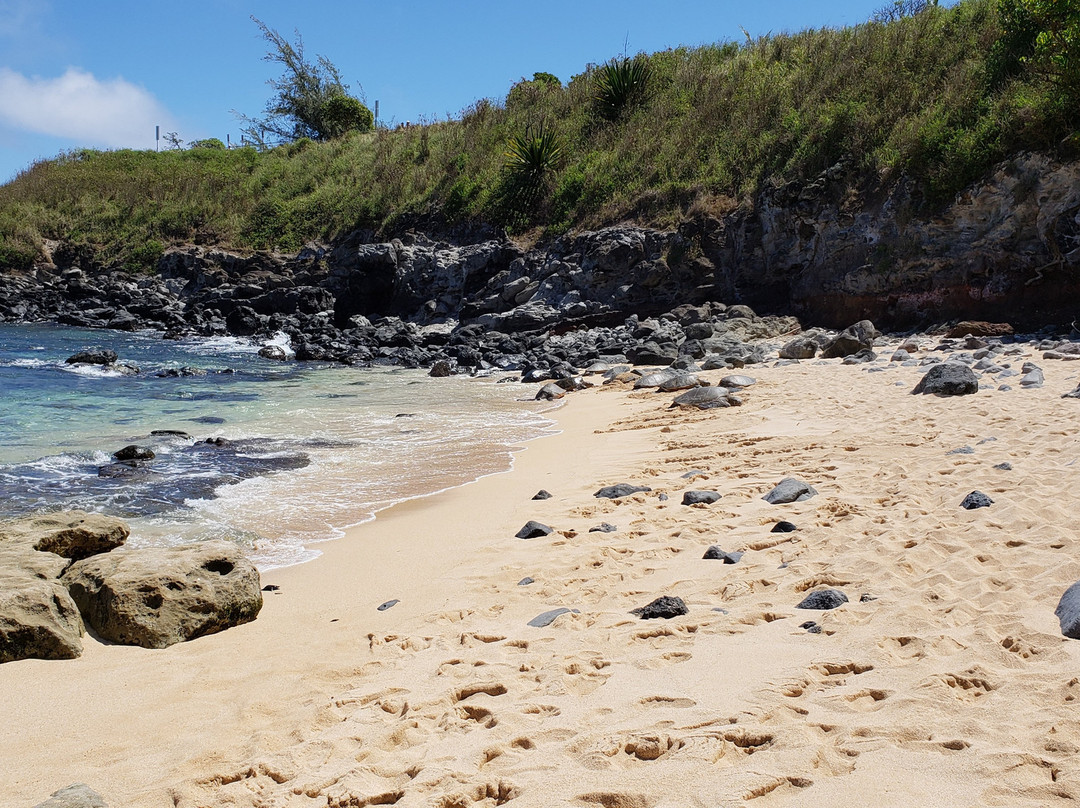 Lower Paia Park景点图片