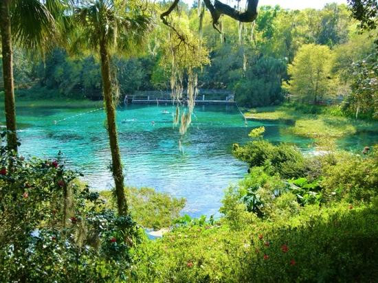 Rainbow Springs State Park-Dunnellon必去景点