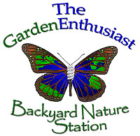 The Garden Enthusiast - Backyard Nature Station-Tucker必去景点