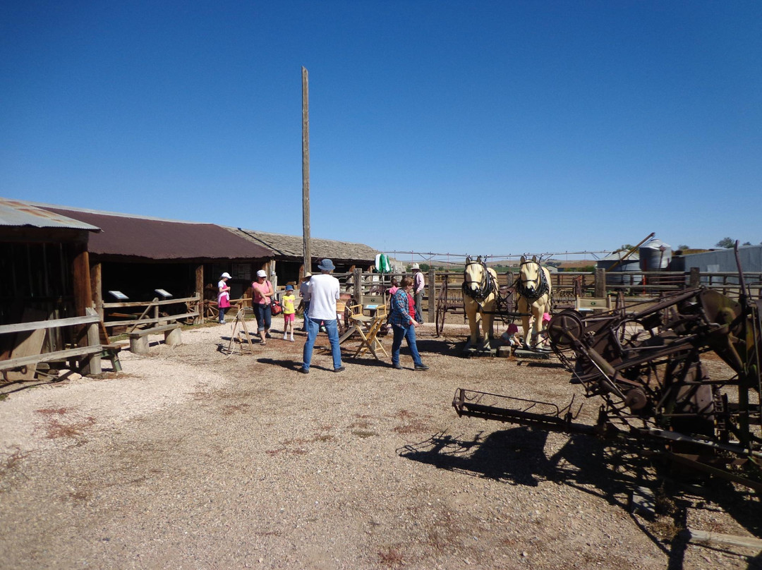 Wellington旅游景点-Bee Family Farm