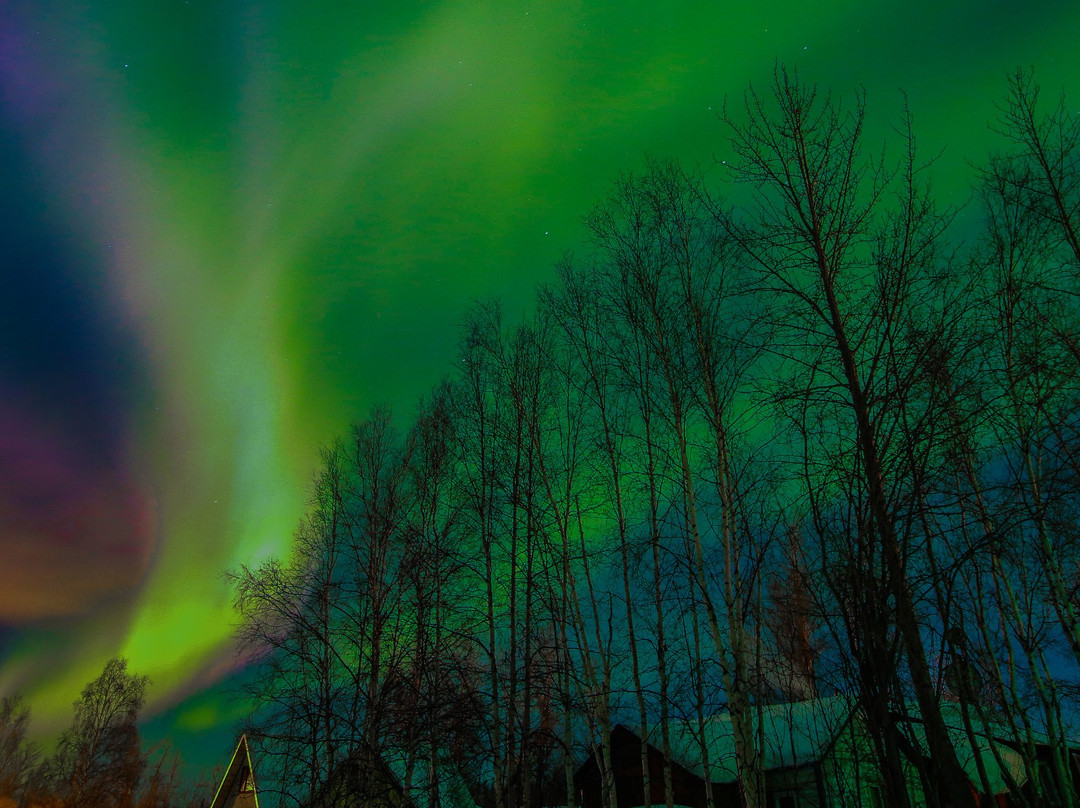 Alaskan Gallery景点图片