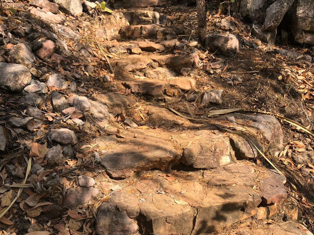 Walker Creek-Litchfield National Park必去景点
