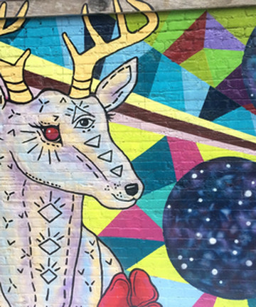 Black Cat Alley景点门票图片