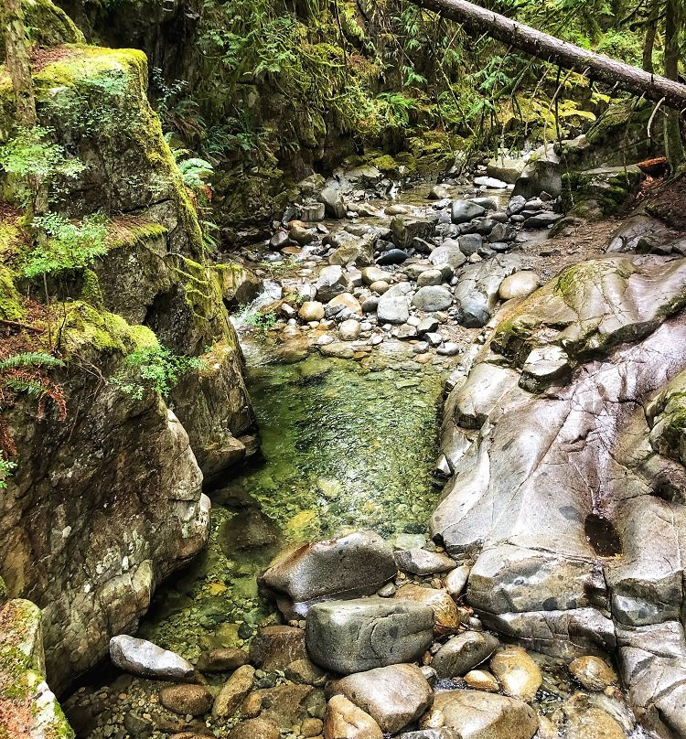 Cypress Falls Park景点图片