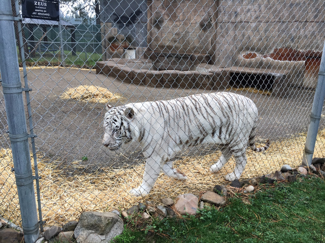 Cat Tales Zoological Park景点图片