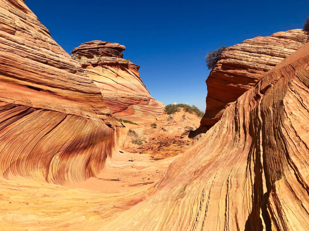 American West Scenic Adventures-卡纳布必去景点