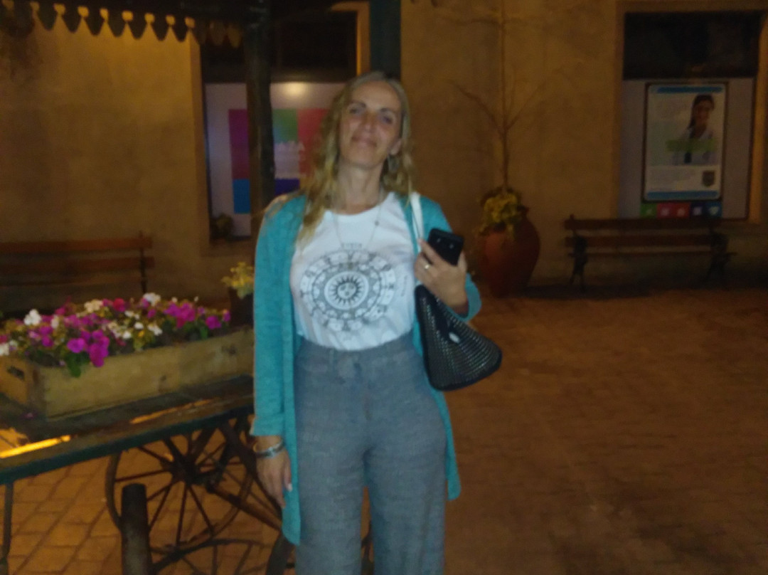 Hotel Plaza Central Canning主图