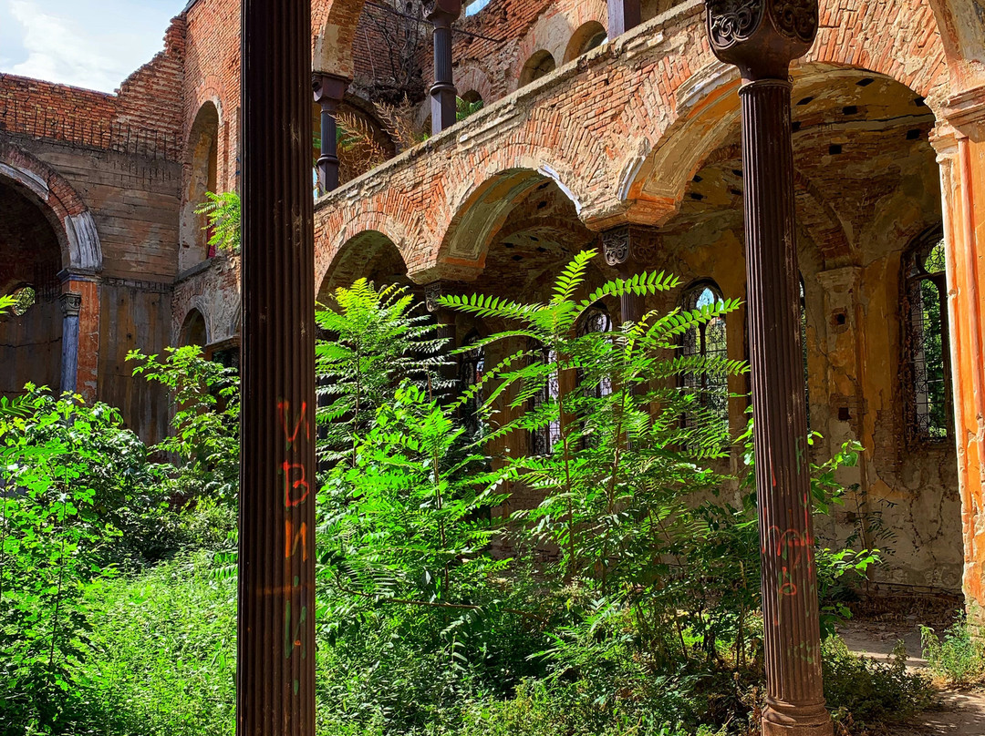 Vidin Synagogue-Vidin必去景点