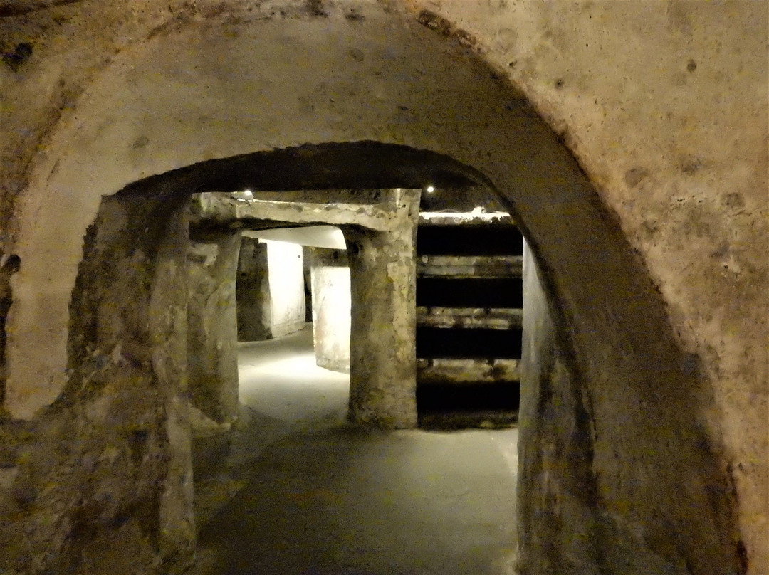 Catacombe di San Gaudioso景点图片