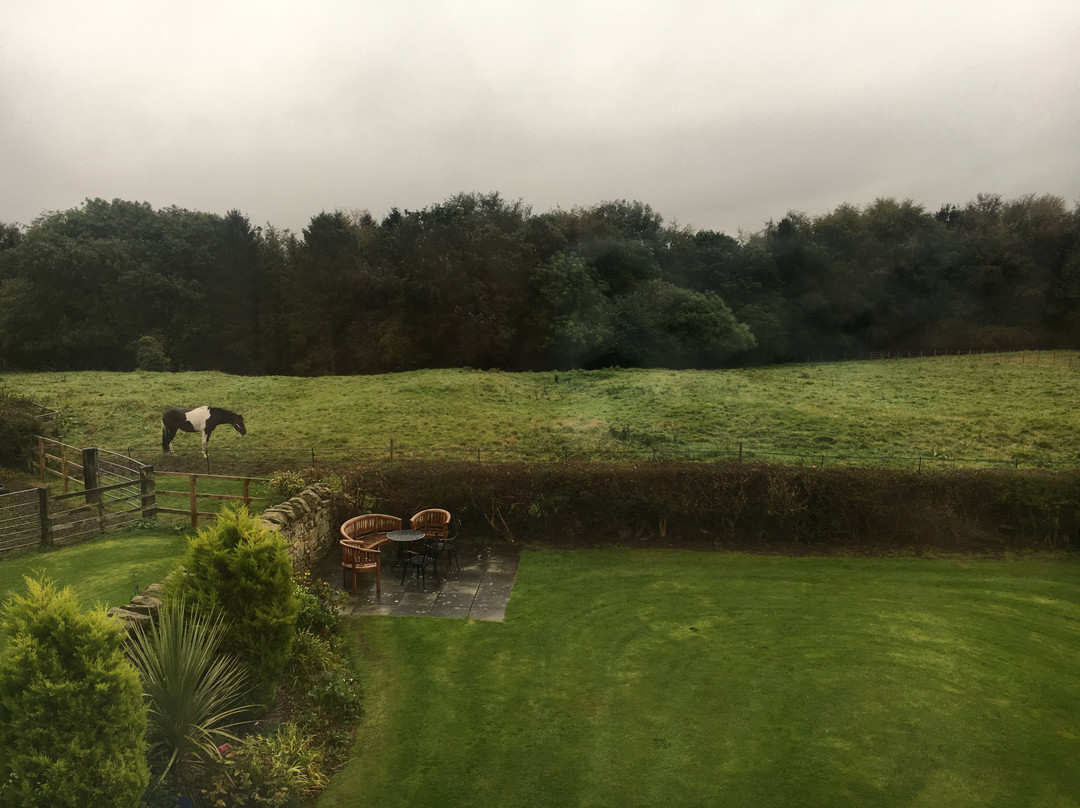 East Cawledge Farm B&B主图