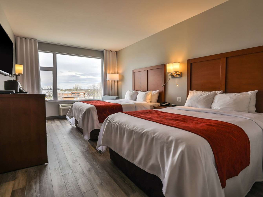 Comfort Inn & Suites主图