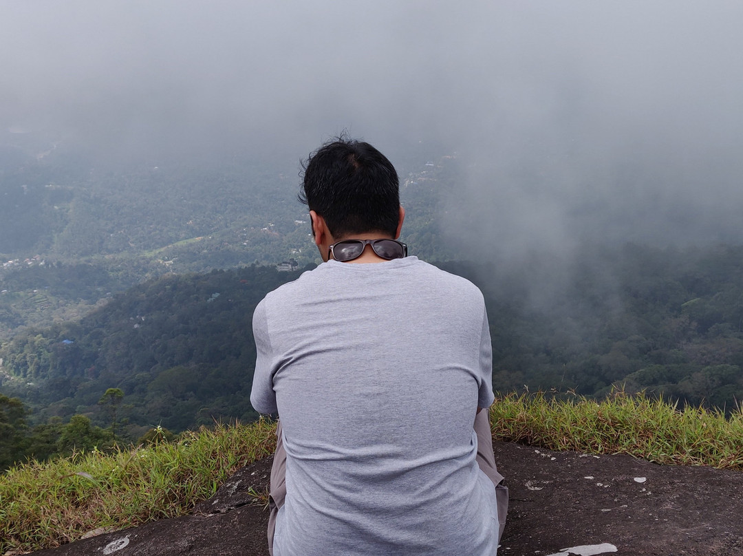 Amazing Munnar Tours景点图片