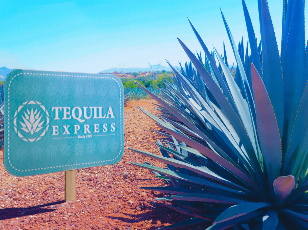 Tequila Express景点图片