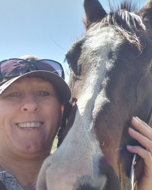 Astraddle A Saddle-帕戈萨斯普林斯必去景点