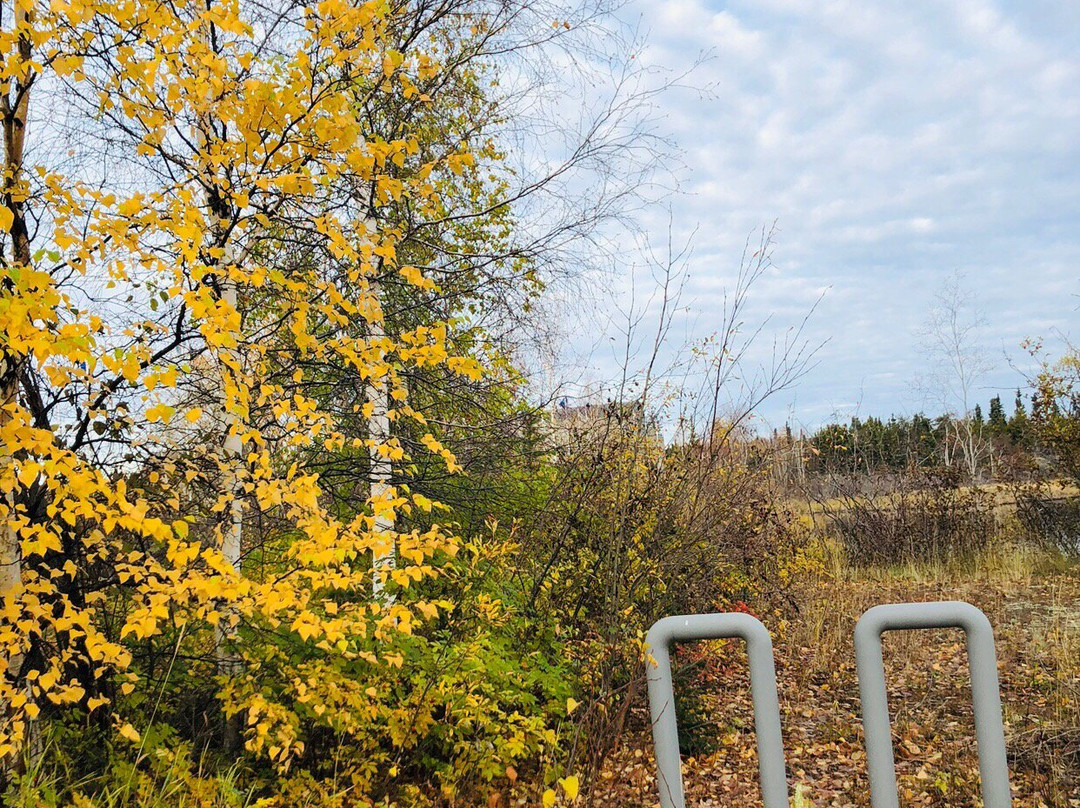 Frame Lake Trail-黄刀镇必去景点
