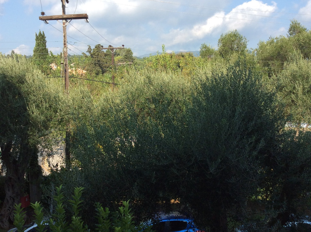 Elea Beach Hotel主图