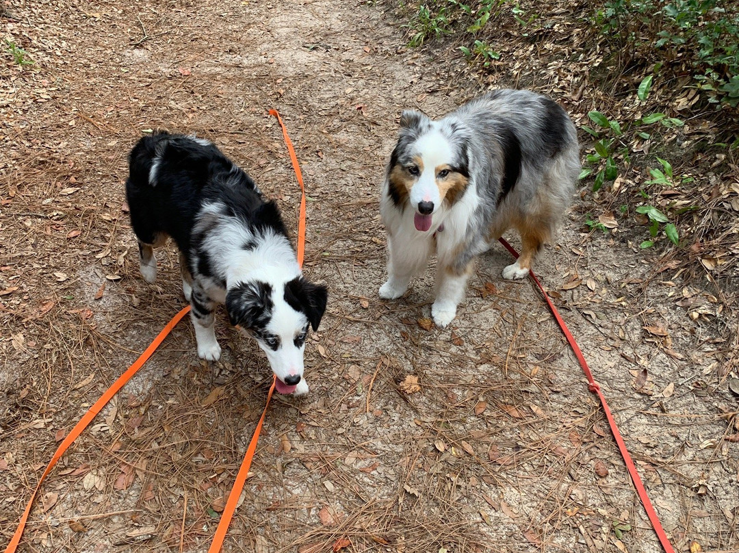 Whispering Pines Park-因弗内斯必去景点