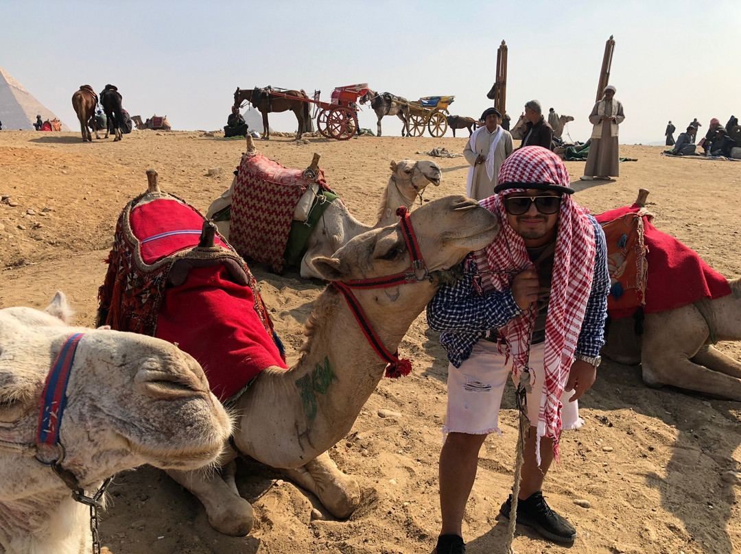 Aly of Egypt Tours-吉萨必去景点